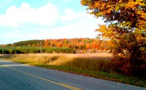 fall-benzie-2011-1
