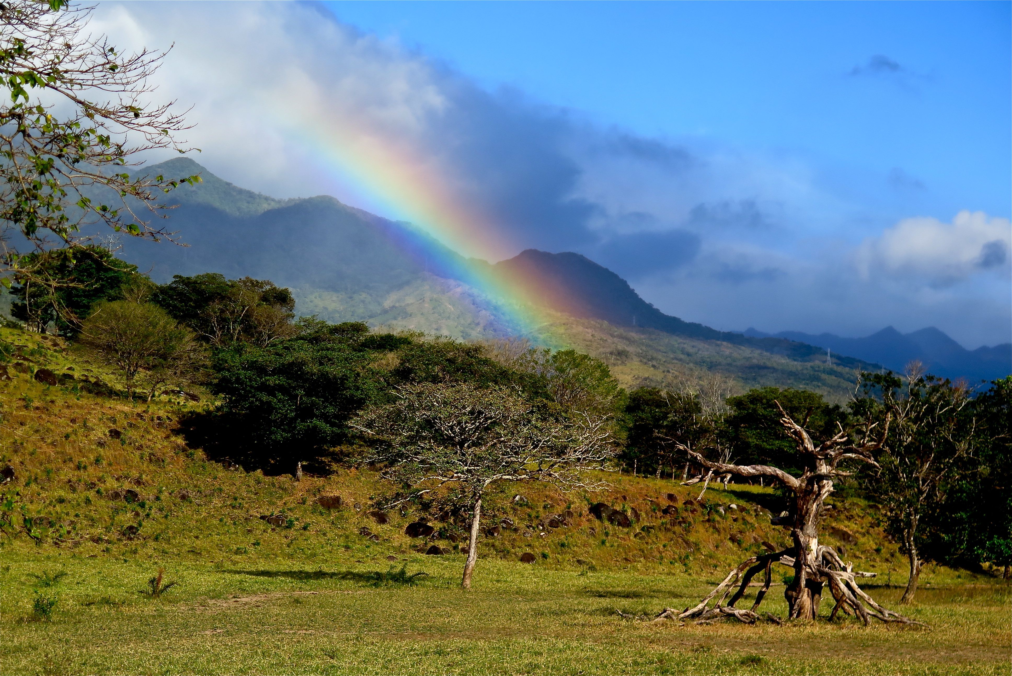 Bright sunlight and mountain mists produce a feast of rainbows in Boquete, Panama. Photo/Keith Schneider