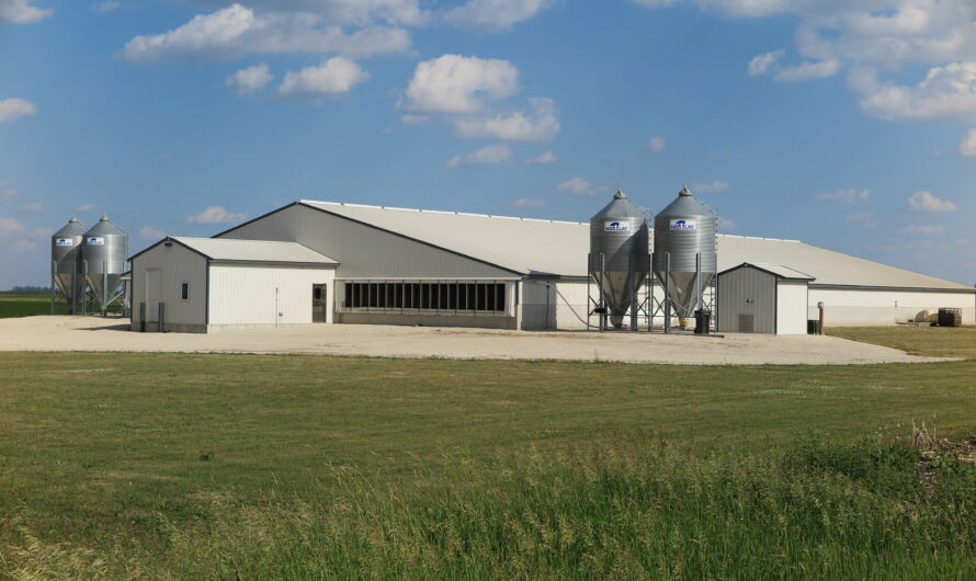 Spain’s Hog Haven Pollutes Catalonia’s Water