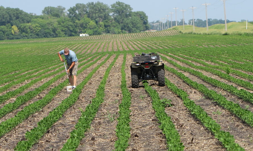 Cancer-Related Disease and Deaths Spur Actions to Fight Farm Chemical Contamination in Corn Belt