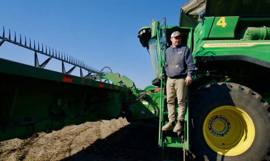 Huge Organic Farm In Iowa Thrives Without Toxic  Chemicals