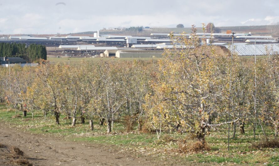 Regulators Battle Oregon and Washington Farmers Over Limits to Farm Contamination