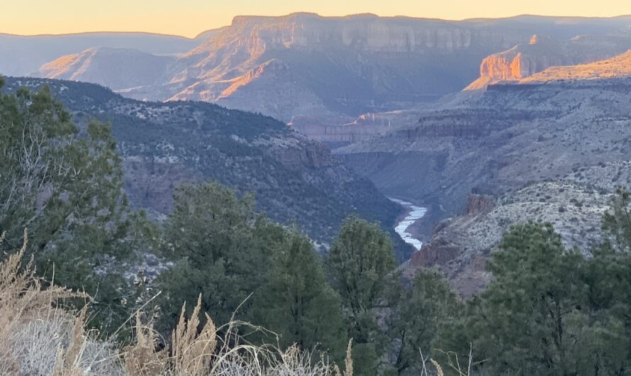 A Muffled American Environmentalism