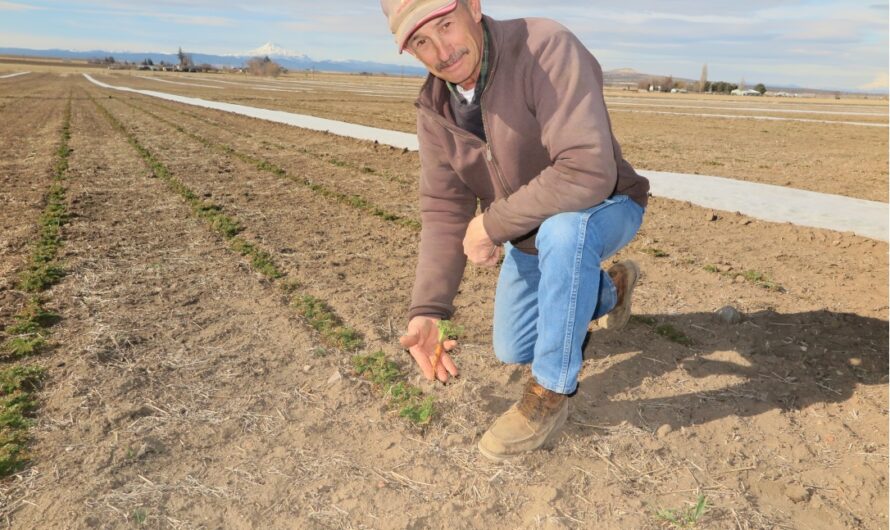 Slashing Federal Budget Is Big Problem for State Environment Agencies