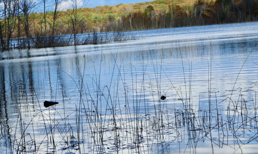 Political Left, Right, and Everyone Between, United Over Water in Indiana