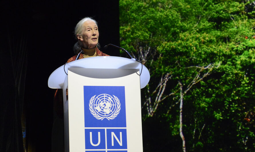 Jane Goodall’s Legacy Included Protecting Clean Water