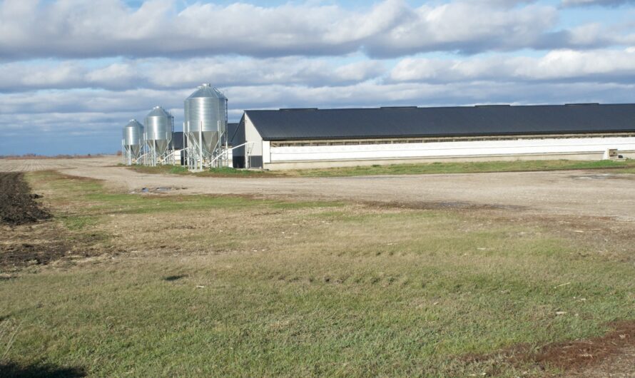 Traces of Old Farm Chemicals Contaminate Water Across the U.S.