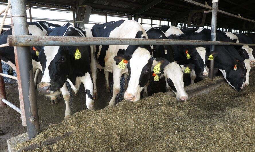 Combatting Agricultural Pollution: Michigan’s New Manure Management Rules