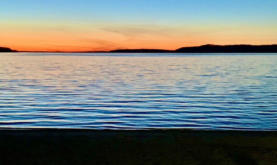 Trump Is Desperate to End Era of Land, Water, Wildlife Protections