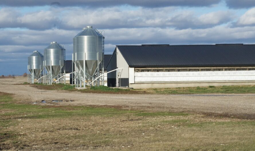 Ethanol Was Marketed to Help Agriculture. But It Fouled Our Water and Injured Our Health.