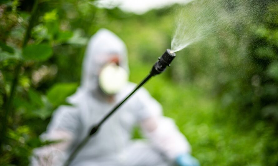 Despite Supreme Court Decision, Bayer Faces More Challenge Over Roundup