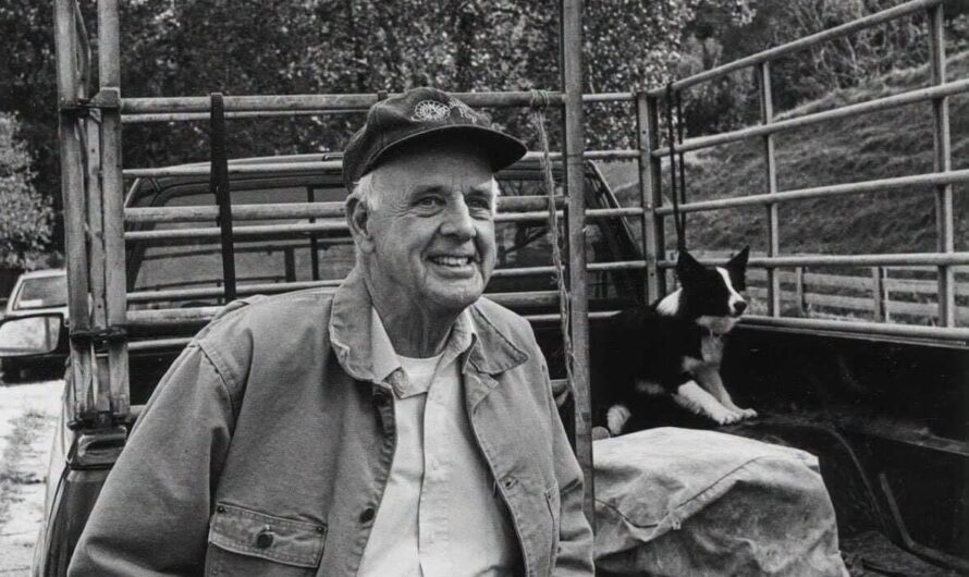 Wendell Berry’s Water Intelligence